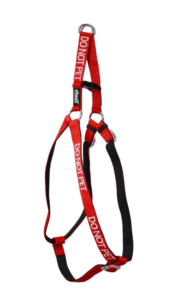do-not-pet-harness copy.webp