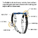 blue-9-balance-harness-buckle-500x500_480x480.webp