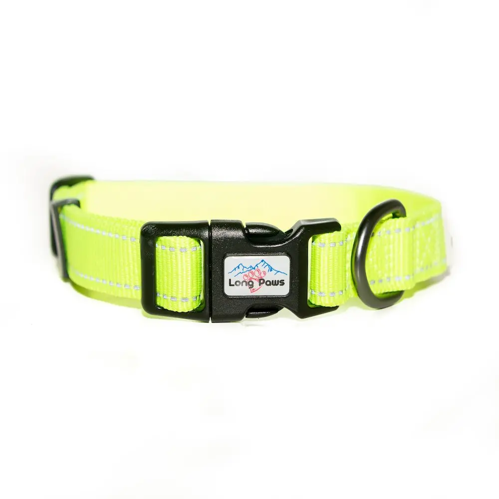 Long Paws - Urban Trek Collar - Neon Yellow 4 (flash).webp