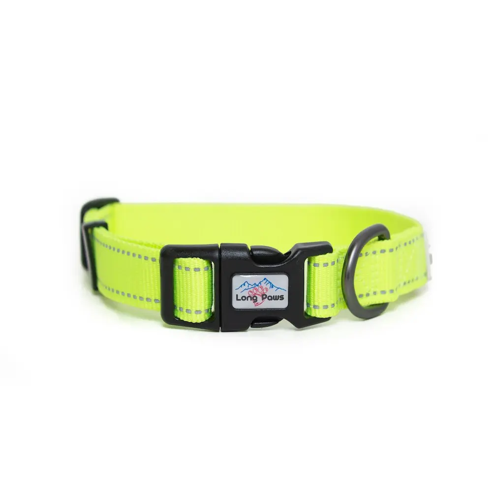 Long Paws - Urban Trek Collar - Neon Yellow 1.webp