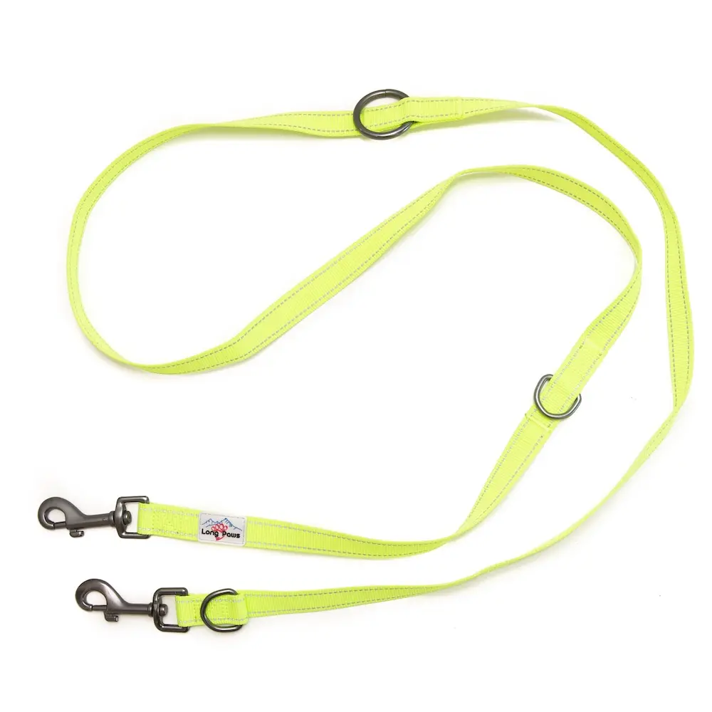 Long Paws - Urban Trek Training Lead - Neon Yellow 2.webp