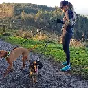 CC - Rope Training Leash - Black.webp