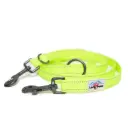 Neon Dog Training Lead