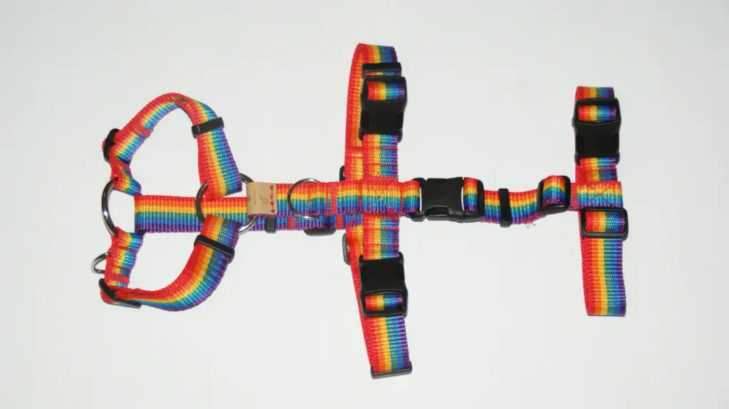 Hound-ini Harness by Curly Cue & Co