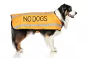 "No Dogs" Coat
