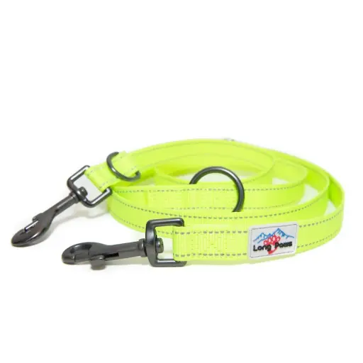 Neon Dog Training Lead